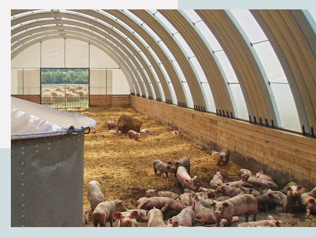 Строительство свинарников в Белорецке